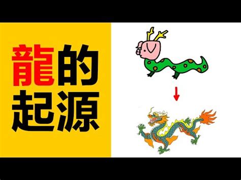 龍 意思